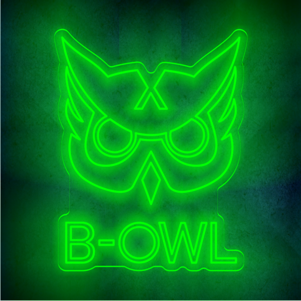 Custom  B-OWL  lighting flex neon sign  B-OWL  LED Sign