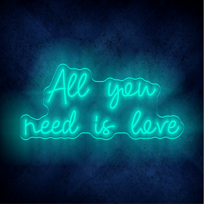 All you need neon sign