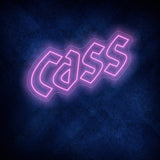 CASS Neon Signs